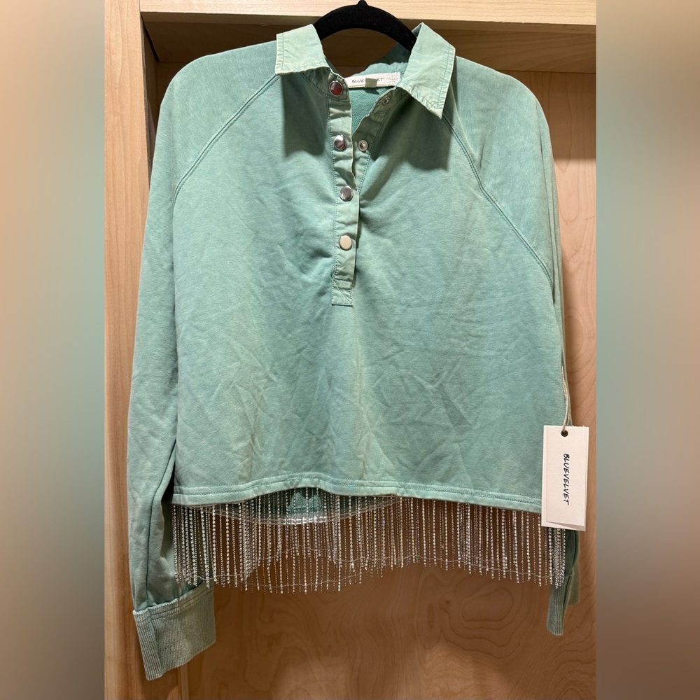 Blue Velvet Mint Green Beaded Hem Cropped Long-sleeve Top NEW